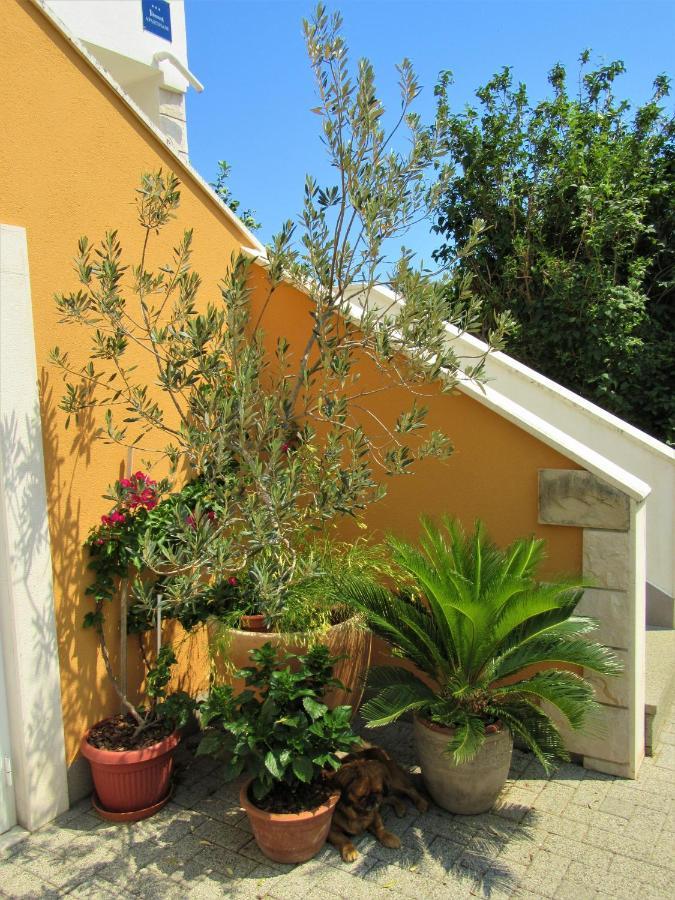 Apartment Andrea Orebić Exterior foto
